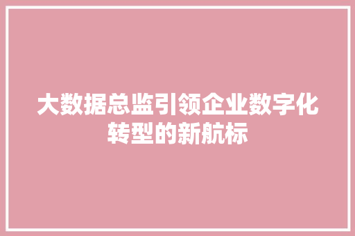 大数据总监引领企业数字化转型的新航标