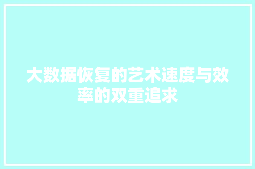大数据恢复的艺术速度与效率的双重追求 SEO教程