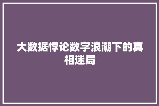 大数据悖论数字浪潮下的真相迷局 友链在线