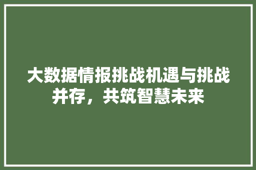 大数据情报挑战机遇与挑战并存，共筑智慧未来 友链在线