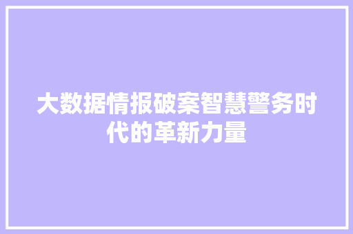 大数据情报破案智慧警务时代的革新力量