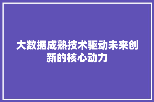 大数据成熟技术驱动未来创新的核心动力