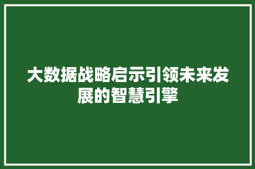 大数据战略启示引领未来发展的智慧引擎