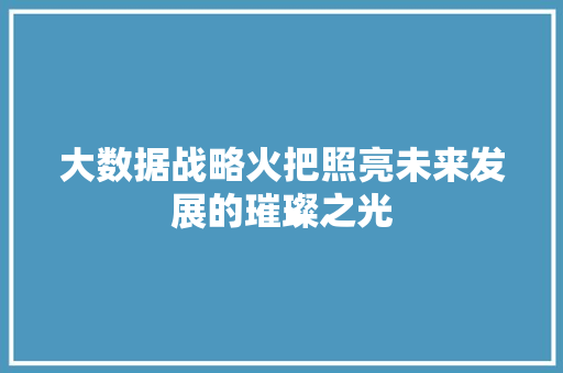 大数据战略火把照亮未来发展的璀璨之光