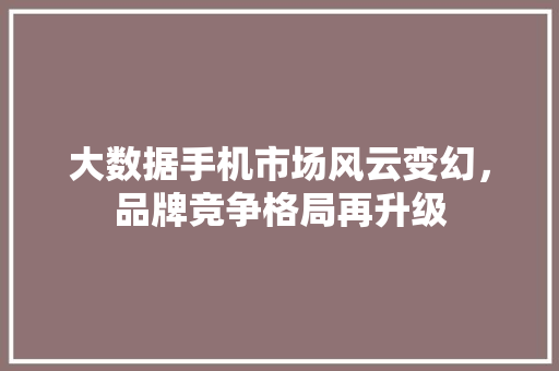 大数据手机市场风云变幻，品牌竞争格局再升级