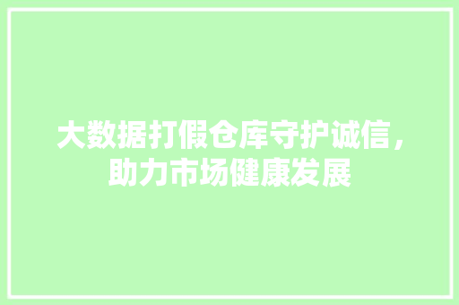 大数据打假仓库守护诚信，助力市场健康发展