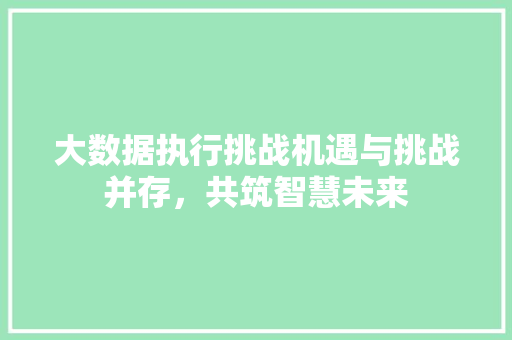 大数据执行挑战机遇与挑战并存，共筑智慧未来 Web前端