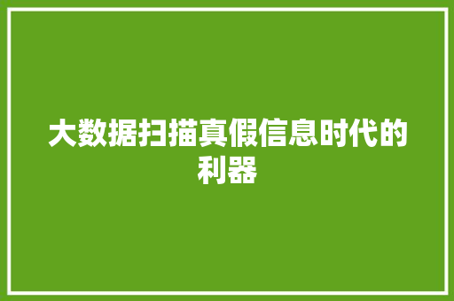 大数据扫描真假信息时代的利器