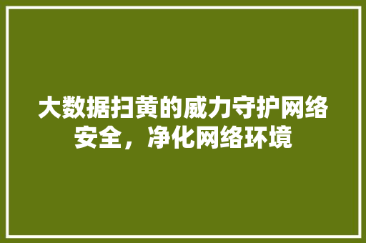 大数据扫黄的威力守护网络安全，净化网络环境