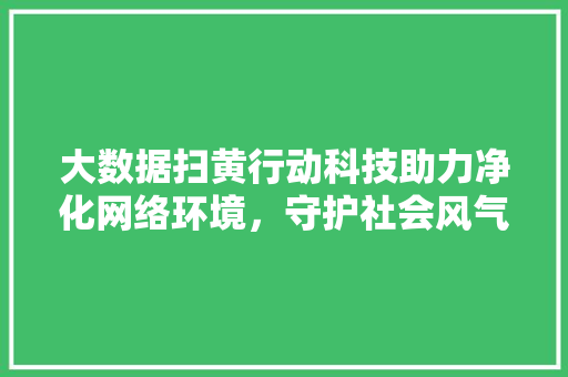 大数据扫黄行动科技助力净化网络环境，守护社会风气