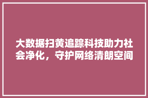 大数据扫黄追踪科技助力社会净化，守护网络清朗空间 Web前端