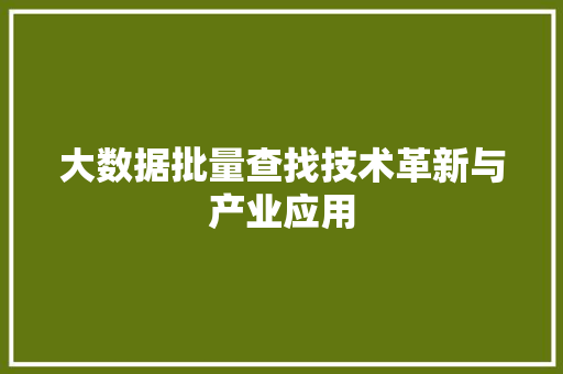 大数据批量查找技术革新与产业应用 友链在线
