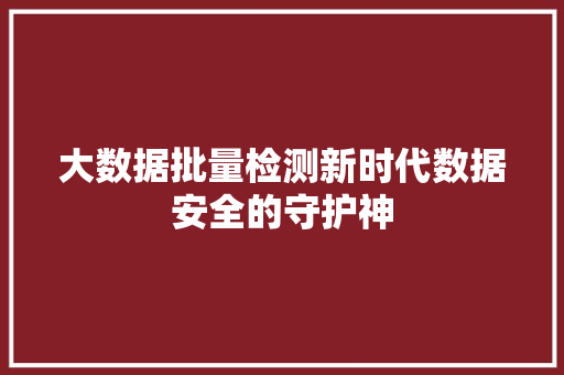 大数据批量检测新时代数据安全的守护神