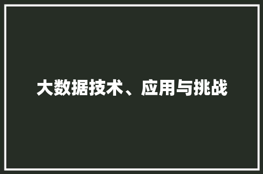 大数据技术、应用与挑战 SEO教程