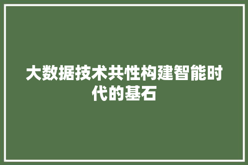 大数据技术共性构建智能时代的基石 友链在线