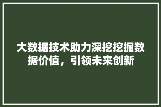大数据技术助力深挖挖掘数据价值，引领未来创新