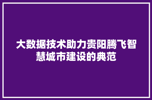 大数据技术助力贵阳腾飞智慧城市建设的典范