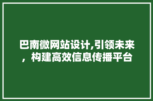巴南微网站设计,引领未来，构建高效信息传播平台