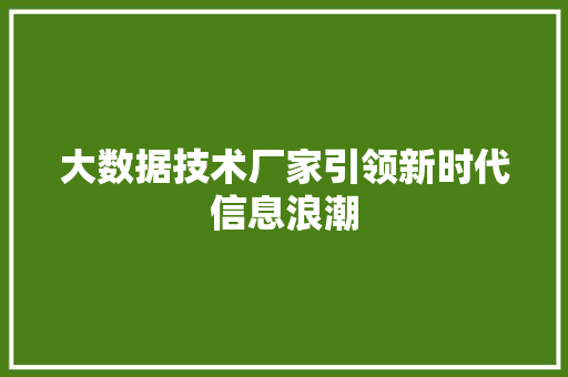 大数据技术厂家引领新时代信息浪潮