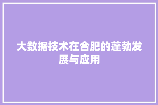 大数据技术在合肥的蓬勃发展与应用