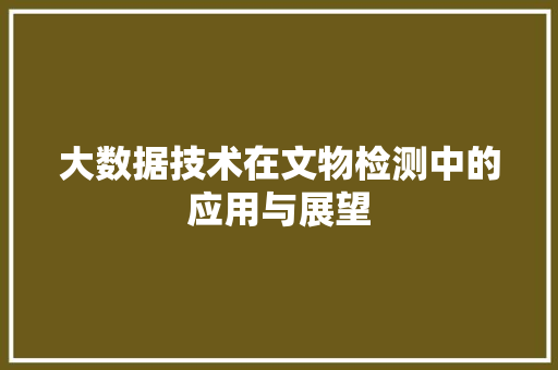 大数据技术在文物检测中的应用与展望