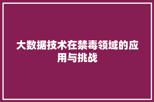 大数据技术在禁毒领域的应用与挑战
