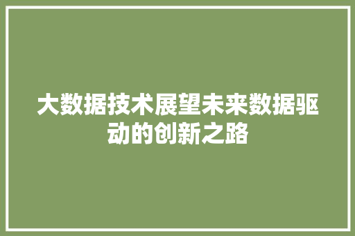 大数据技术展望未来数据驱动的创新之路