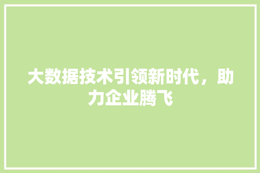大数据技术引领新时代，助力企业腾飞 建站教程