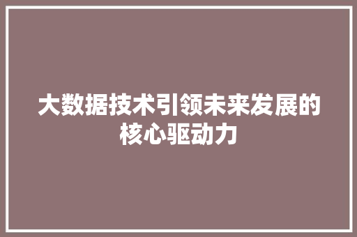 大数据技术引领未来发展的核心驱动力 友链在线