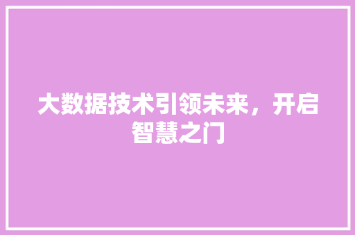 大数据技术引领未来，开启智慧之门 SEO教程