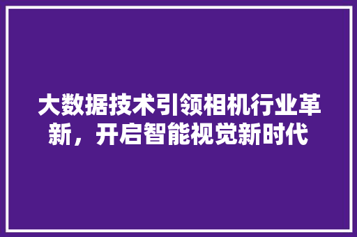 大数据技术引领相机行业革新，开启智能视觉新时代 WordPress教程