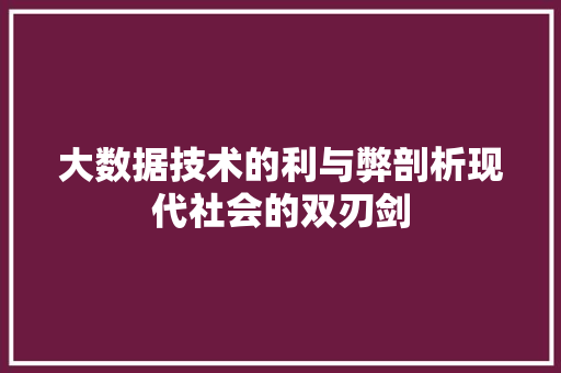 大数据技术的利与弊剖析现代社会的双刃剑 WordPress教程
