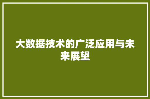 大数据技术的广泛应用与未来展望 建站教程