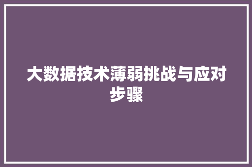 大数据技术薄弱挑战与应对步骤 SEO教程