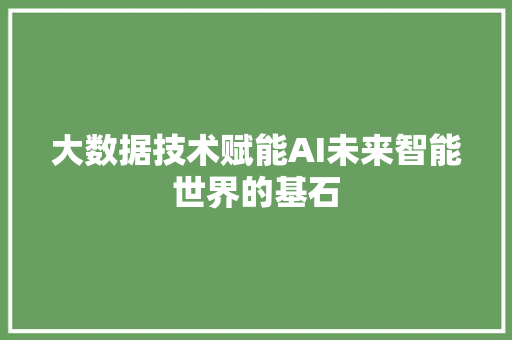 大数据技术赋能AI未来智能世界的基石
