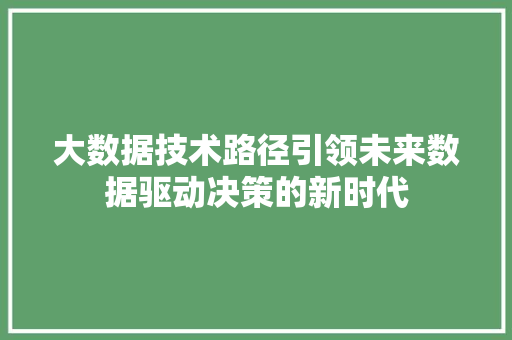 大数据技术路径引领未来数据驱动决策的新时代