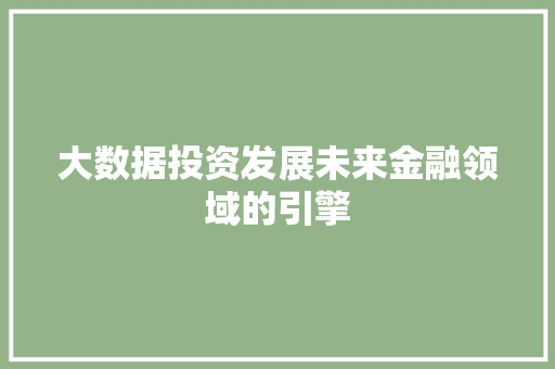 大数据投资发展未来金融领域的引擎