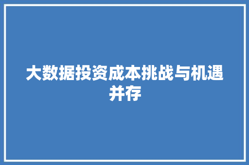 大数据投资成本挑战与机遇并存 建站教程