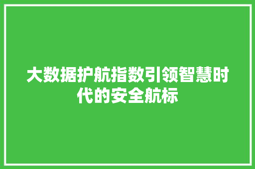 大数据护航指数引领智慧时代的安全航标