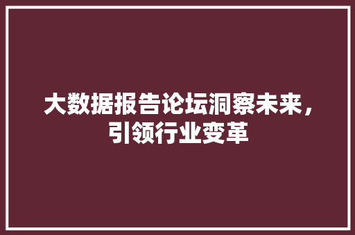 大数据报告论坛洞察未来，引领行业变革