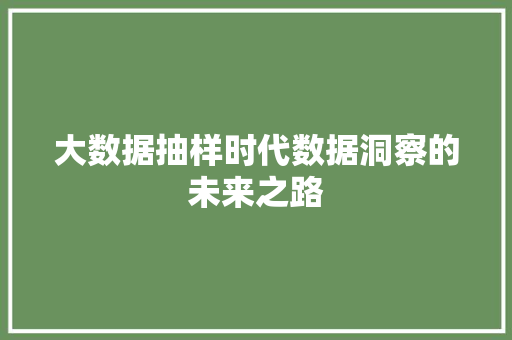 大数据抽样时代数据洞察的未来之路