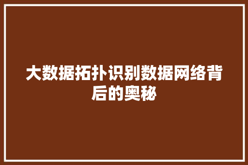 大数据拓扑识别数据网络背后的奥秘