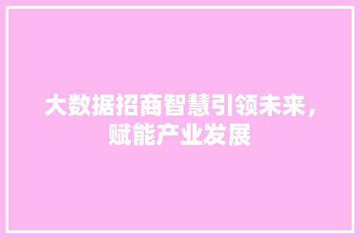 大数据招商智慧引领未来，赋能产业发展