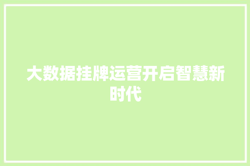 大数据挂牌运营开启智慧新时代 建站教程