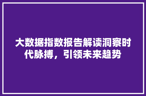 大数据指数报告解读洞察时代脉搏，引领未来趋势