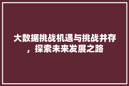 大数据挑战机遇与挑战并存，探索未来发展之路 建站教程