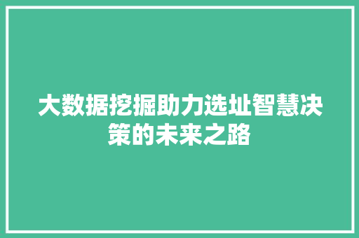 大数据挖掘助力选址智慧决策的未来之路 Web前端