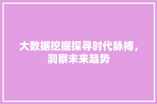 大数据挖掘探寻时代脉搏，洞察未来趋势