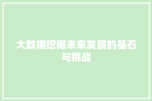 大数据挖掘未来发展的基石与挑战 建站教程
