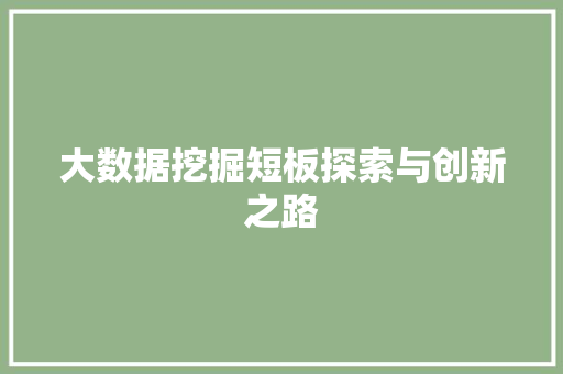 大数据挖掘短板探索与创新之路 建站教程